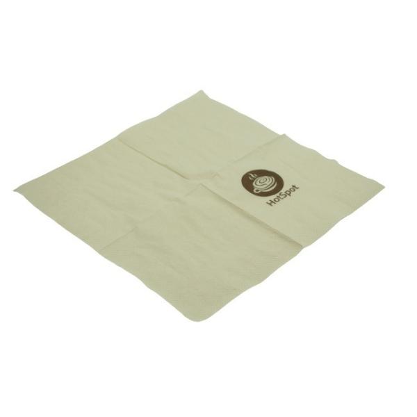 Compostable Printed Paper Napkin 13x13 Inch 2-Ply Eco Lunch Tissue Natural