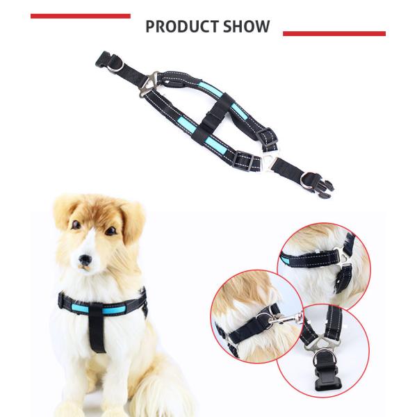 Blue / Green / Pink Luminious Nature Nylon LED Dog Harness 2.5x50cm