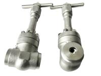 Conexão criogênica de alta pressão da flange da válvula SS304 do globo/316 interruptores BW