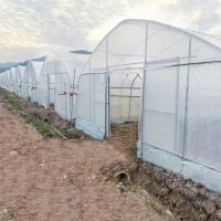 Estufa do túnel do sistema de refrigeração comercial do controle do clima única para o cultivo da agricultura