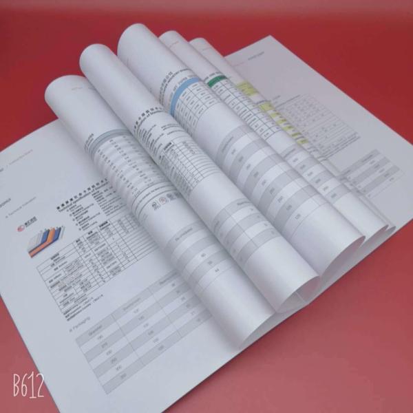 Excellent Ink-set and Double Sided Coating C2s Art Paper for Professional Printing