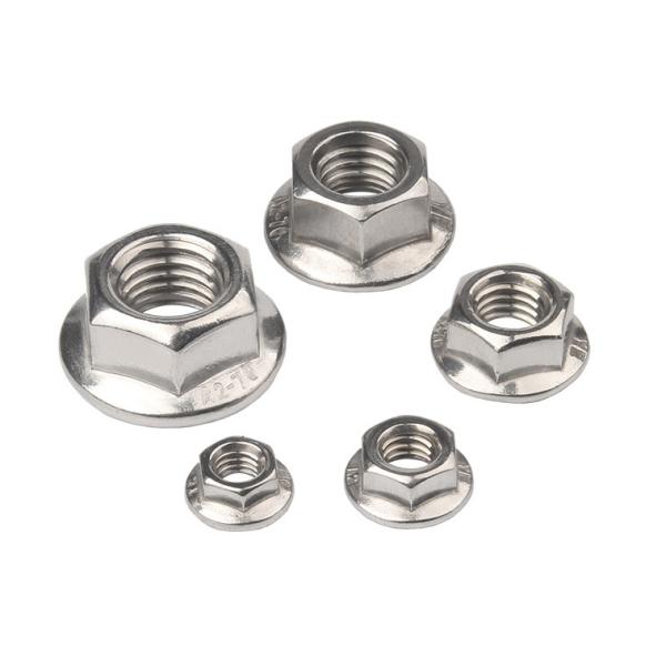 DIN6923 18-8 Stainless Steel Serrated Flange Locknuts Hexagon Nuts with Flange
