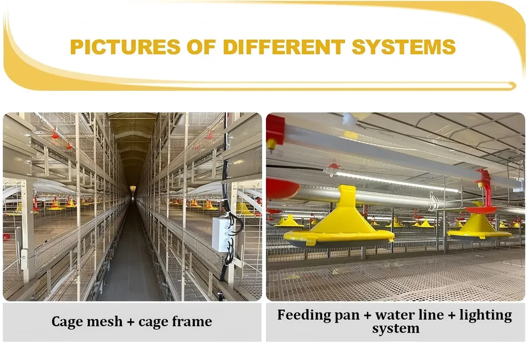 Automatic Chain Type Broiler Cage Equipment Chicken Harvest Cage For Poultry Farming