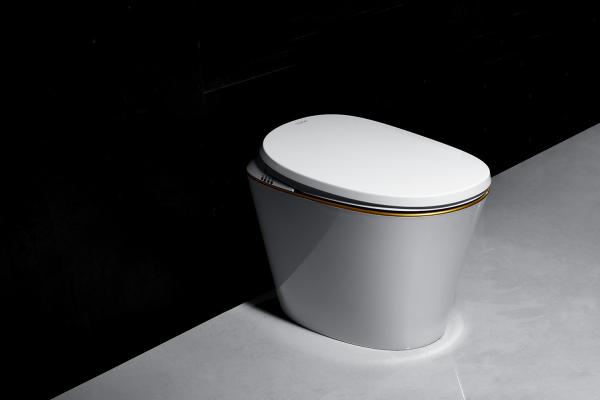 Ceramic Material Auto Wash Toilet Warm Water Washing Remote Control Design Smart toilet
