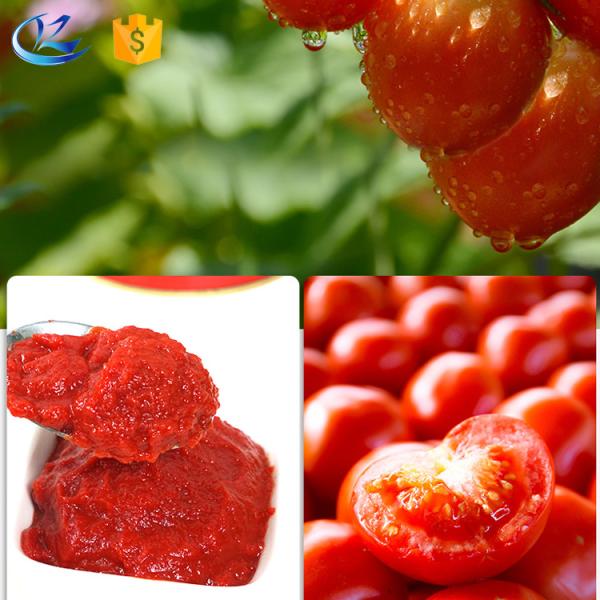 RTE Concentrated Tomato Paste Puree Bulk Food Additives 25kg