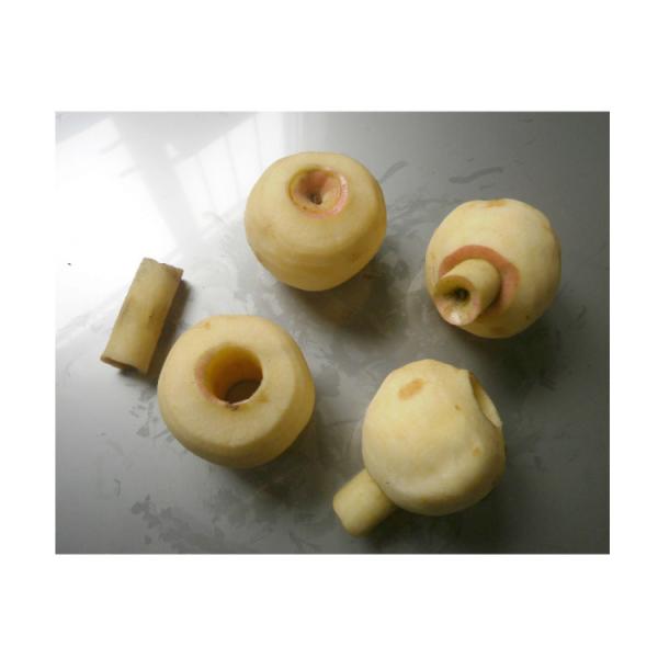 304 Stainless Steel Electric Apple Corer And Peeler 304 Stainless Steel