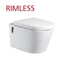 La commode de toilette d'Ada One Piece Wall Mounted a prolongé le lustre à la maison de nettoyage d'individu