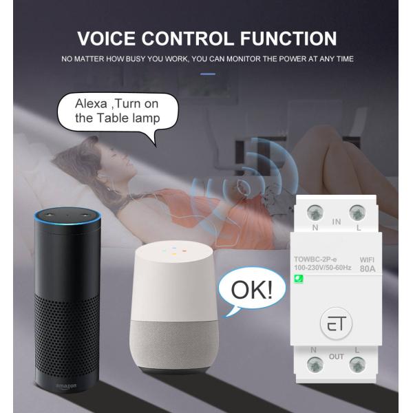 Din Rail WIFI Circuit Breaker Switch Remote Voice Control by Ewelink APP for Home mcb timer 110V 220V 380V