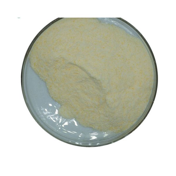 99% Activity Xylanase Enzyme Food Additive Water Soluble