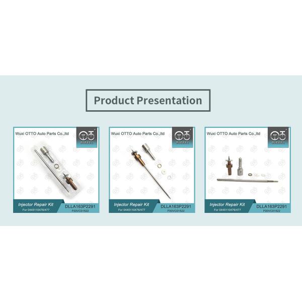 Комплект по ремонту инжекторов Bosch для инжекторов 0445110476 / 477 / 0986435241 Дноза DLLA163P2291
