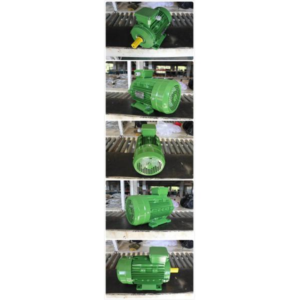 3 Phase Squirrel Cage High Efficiency Induction Motor Aluminium Housing 0.75kw 1Hp