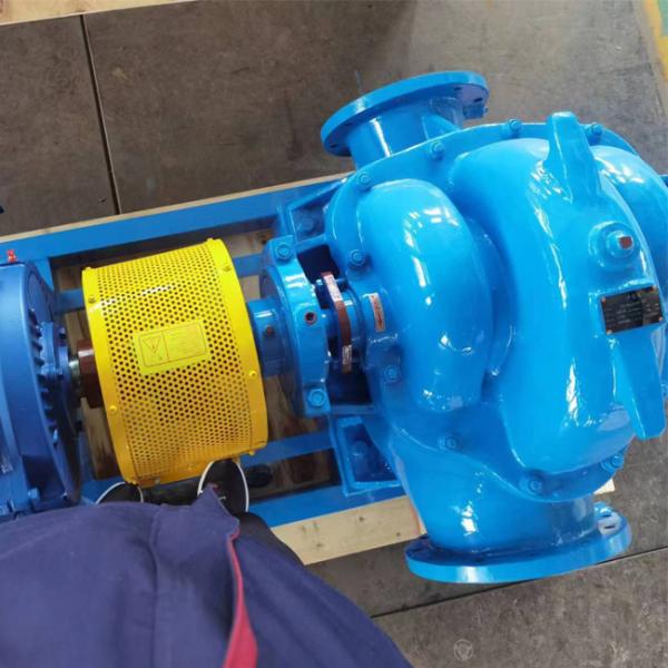 Paper Industrial Centrifugal Pump Double Flow Low Pulse Pulp Pump