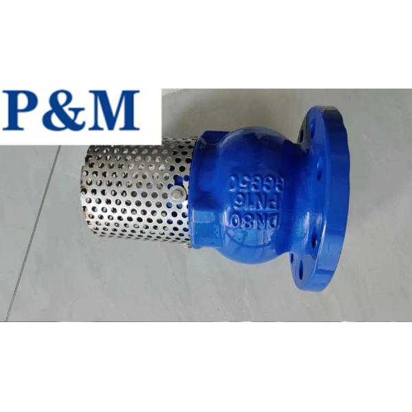 DN100 PN16 GGG50 cast iron flanged foot valve