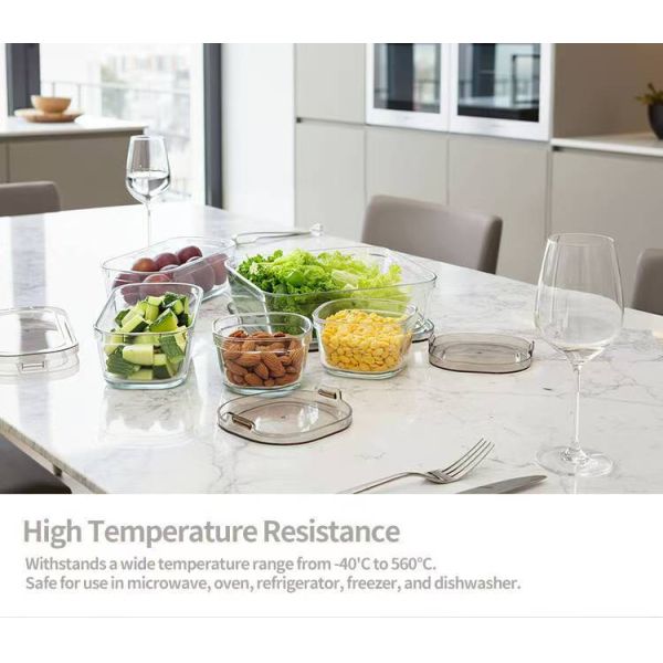 IKOO Borosilicate Glass Food Container Set 240ml,1370ml with Simple Lid