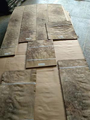 Fatia/espessura cortada giratória de Burl Veneer With Sap 0.50MM da noz