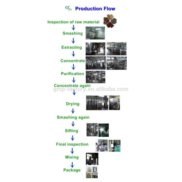 HIgh quality tomato powder / organic tomato powder / Lycopene 3%-90% HPLC