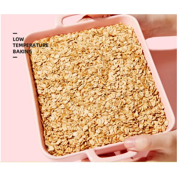 Хлопья оптовой овсяной каши гайки плода немедленные испекли хлопья с манго и сыром