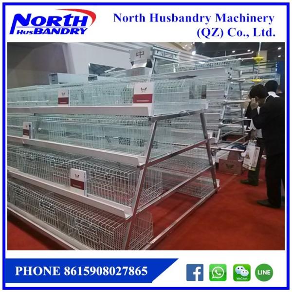 Sistem Pembuatan Kandang,Peternakan Ayam Broiler