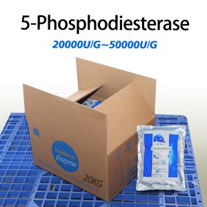 Customized 5-Phosphodiesterase Yeast Extract For Seasoning Processing