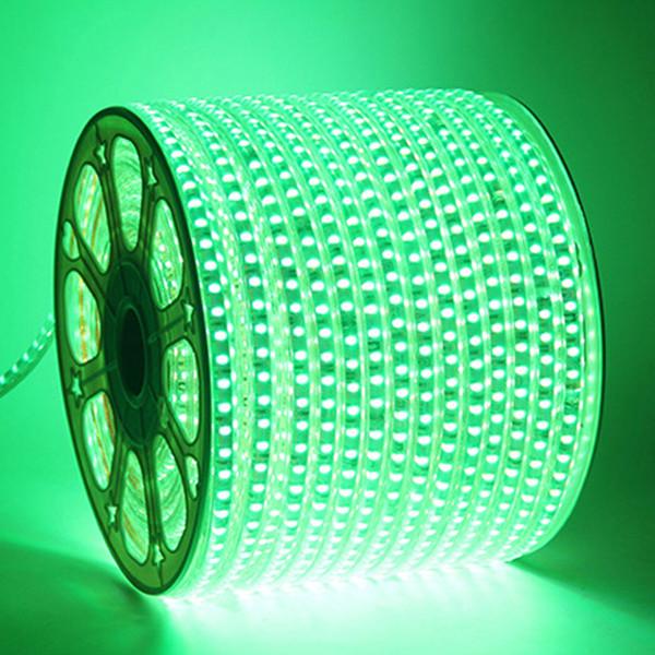 Luminous Flux 800LM/M RGB LED Flexible Strip Light Voltage DC110V/V220 with