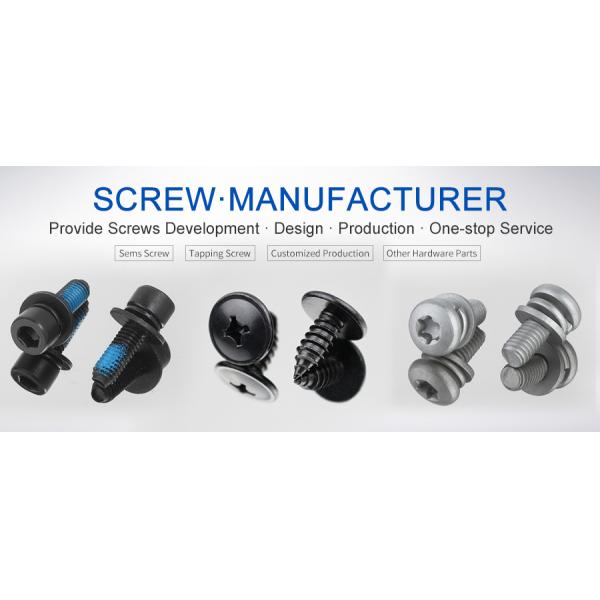 Stainless Steel Pan Head Phillips Micro Screws M0.6 to M2