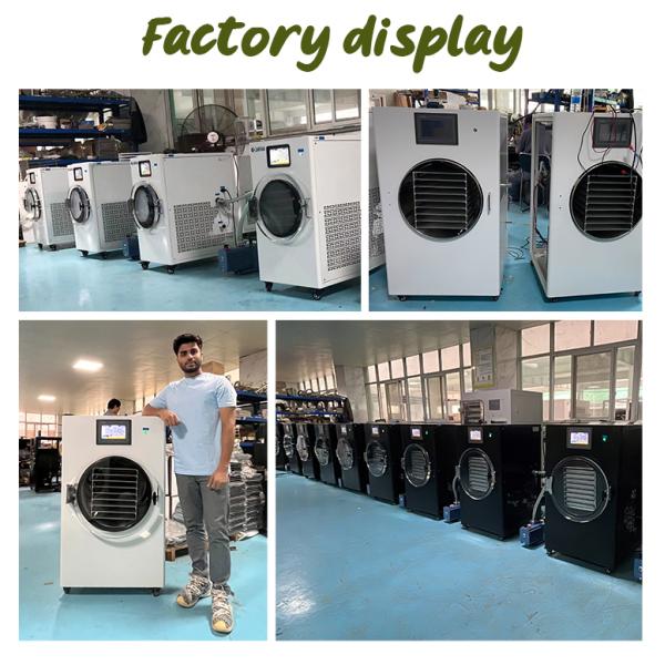 Вакуумная морозильная машина Домашние морозильные сушилки Сушильное оборудование для пищи с фильтром масляного тумана