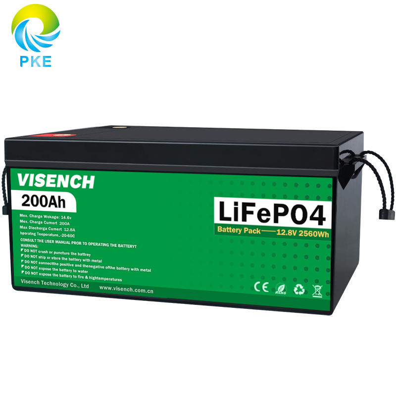 Visench Direct завод 24v lifepo4 аккумулятор глубокий 6000 циклов Солнечный аккумулятор lifepo4 для гибридного солнечного инвертора домашнего использования