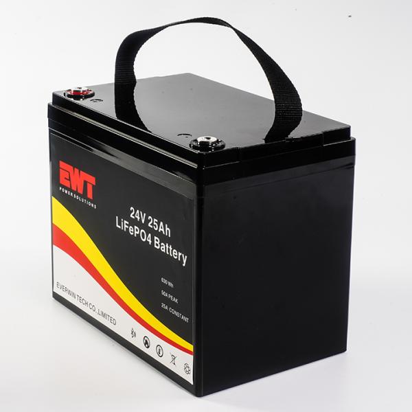24В Lifeo4 перезаряжаемая батарея