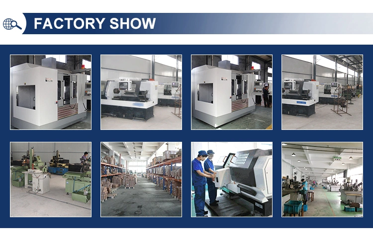 Выкованный 316 переплетенный длинный гальванизировать морского пехотинца нержавеющей стали сережки d