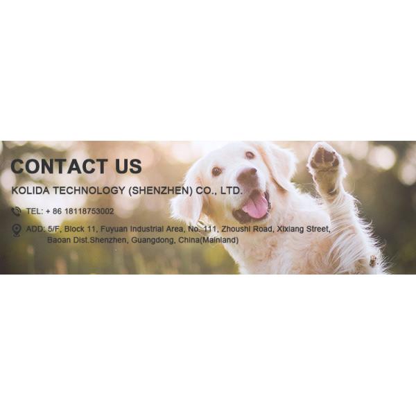Wholesale waterproof usb rechargeable led dog collar