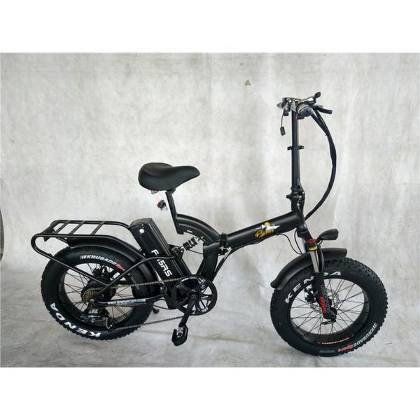 Adult Fat Tyre Cycle E Ebike Electric Bike 48V 1000W 21A Central Mid Drive Motor 26 Inch