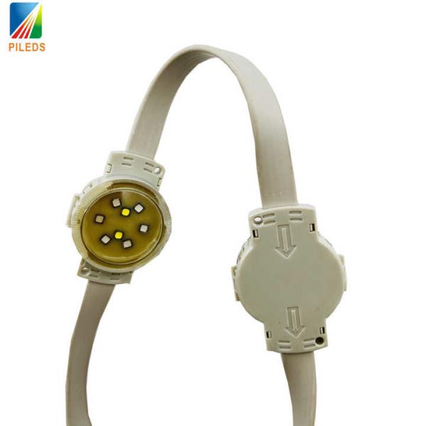 50mm DC24V LED Pixel Dots Light DMX512 RGBW 2w IP68 For Outdoor Building