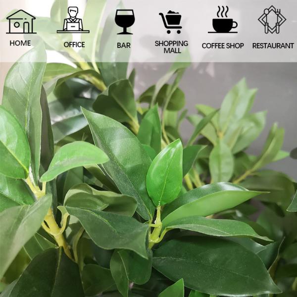 Folhas naturais artificiais sempre-verdes da árvore 30-60cm da fortuna da planta em pasta para a decoração do quarto