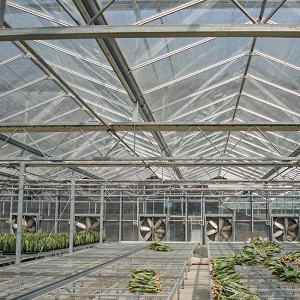 Advanced Glass Greenhouse For Optimal Light Transmission And Heat Preservation