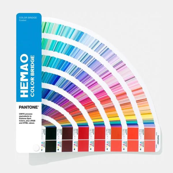 Custom Logo Casual Tracksuit  Short Sleeve Hooded Collar Men Trucksuit