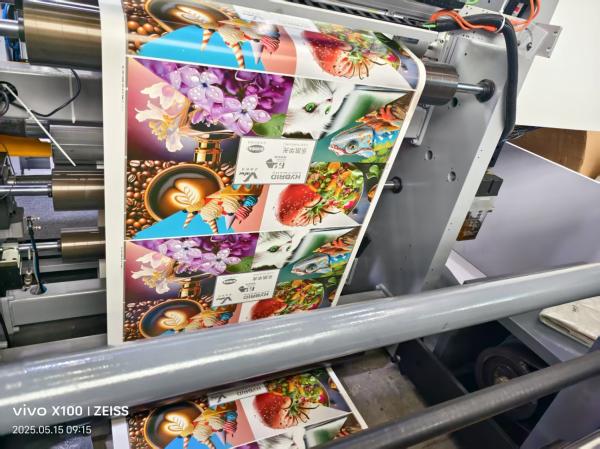 Machine d'impression automatique à grande vitesse longue durée de vie 4 6 couleurs Lexo avec sécheuse IR pour tasse de papier