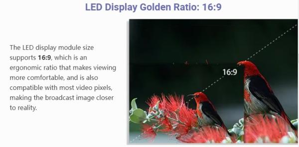 Indoor Small Pitch LED Digital Signage Display P1.667 320*160mm Module Size