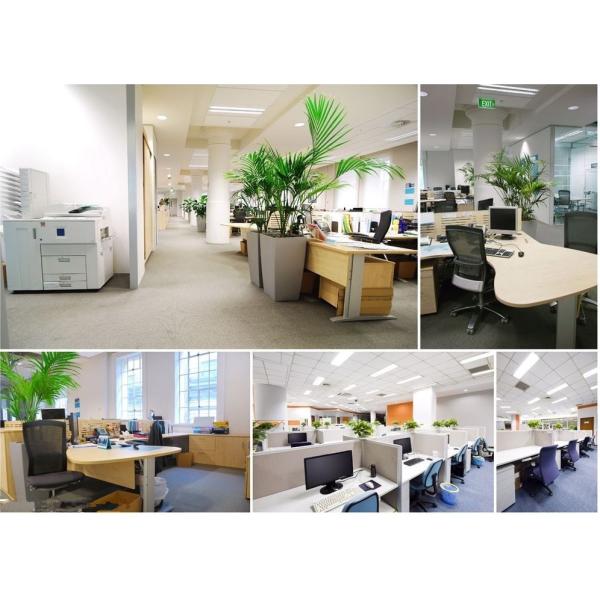 Wujiang Idear Textile Co., Ltd