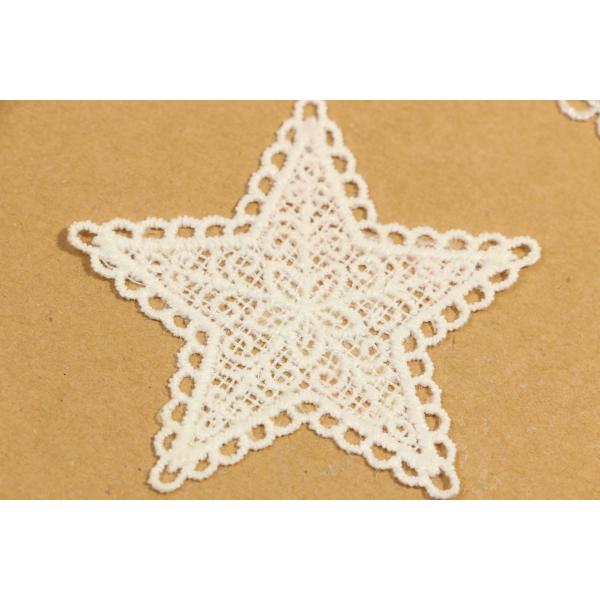 стиль ODM Applique шнурка гипюра ширины 70mm доступный ботанический