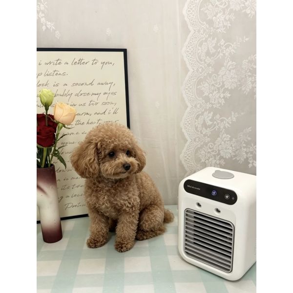 Portable Pet Spray Cooling Fan | Dog Cat Kennel Water Air Cooler