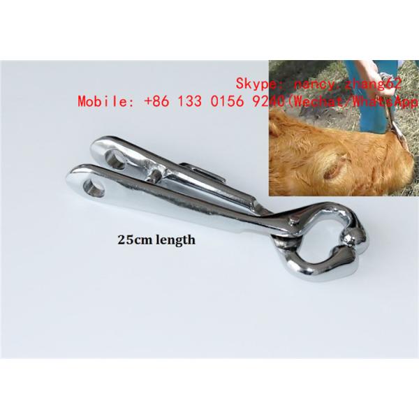 Bovine nose clamp , nose lead , nose tongs , nose grip , bulldog , bull-holder for cattle