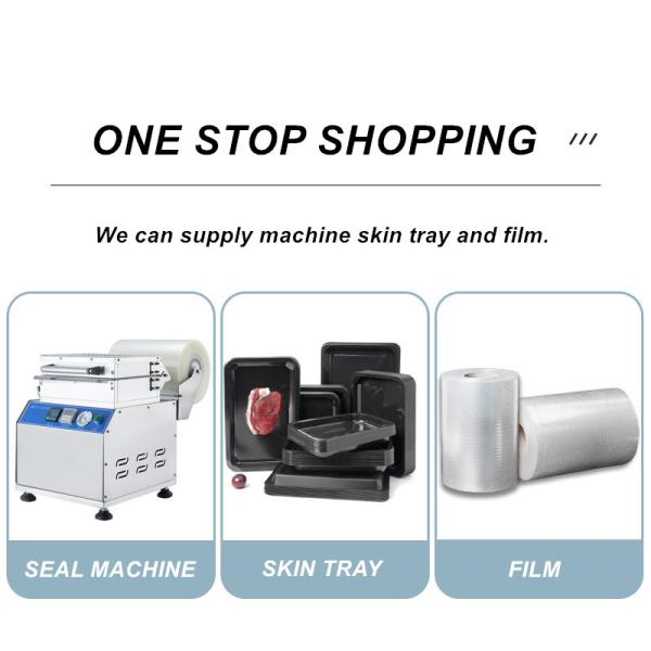 240 X 170 X 20 Mm Plastic PP Vacuum Skin Trays For Frozen Food