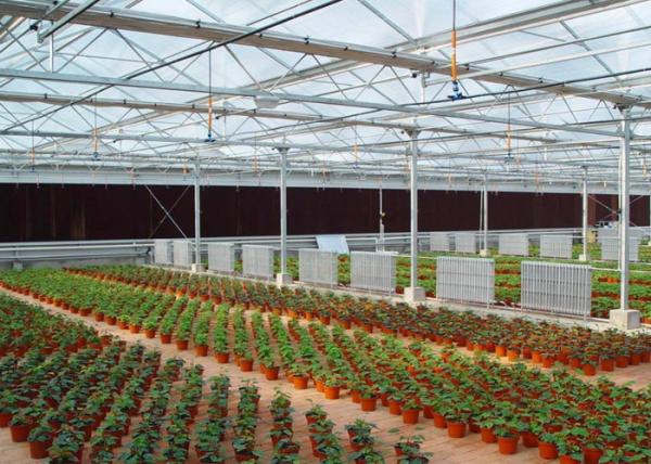 UV Treated Multi Span Woven 200 Micron Reinforced Greenhouse