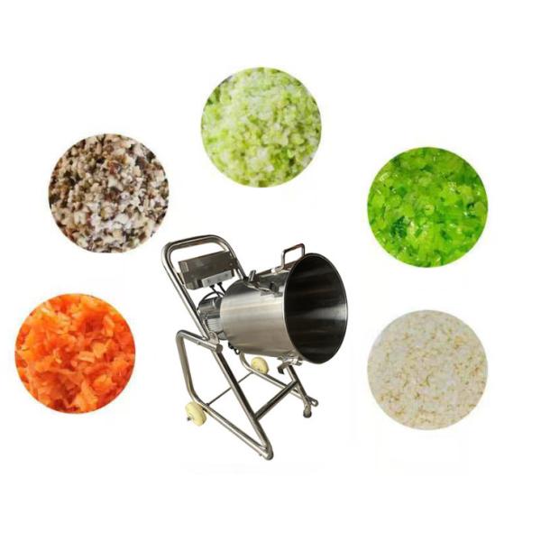 CE 1800w Fruit Juicer Extractor Machine Large Fruit Pulp Processing Equipment