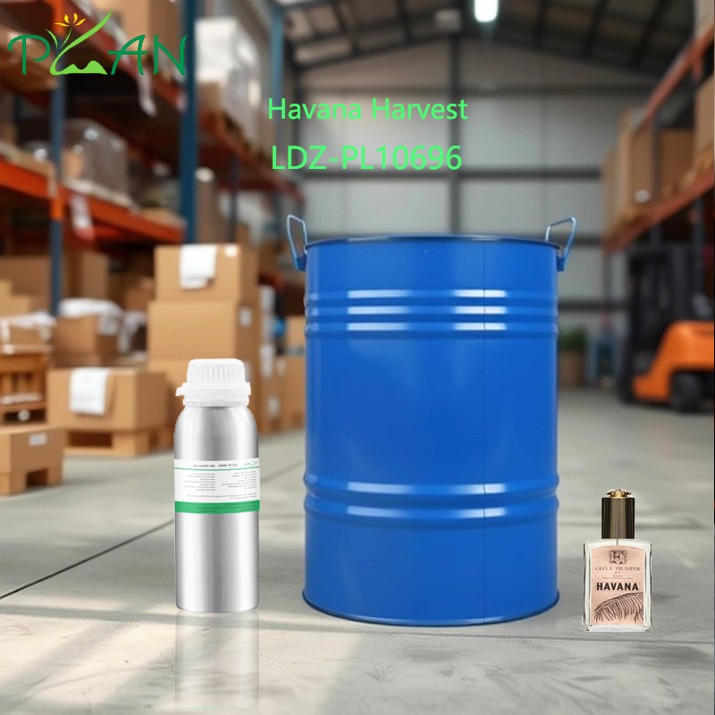 Flavour & Fragrance Manufacturer Havana Harvest Fragrance Oil For Body Perfume Making / Production With Free Sample