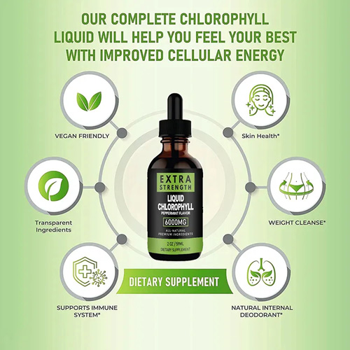 Wholesale Private label Natural Health Energy Supplement Weight Loss Chlorophyll Liquid Drops