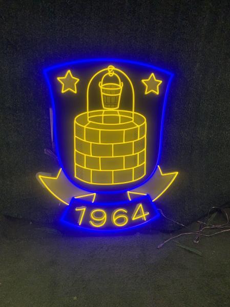 LED Neon Tube 110V-220V Customizable Light Source for Home Decoration