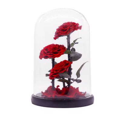 Presente preservado eterno do dia de Rose Glass Dome For Valentines do toque real
