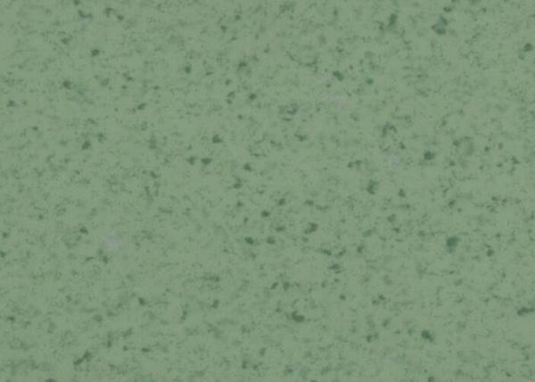 25m Per Roll Wear Resistant Homogeneous Vinyl Flooring