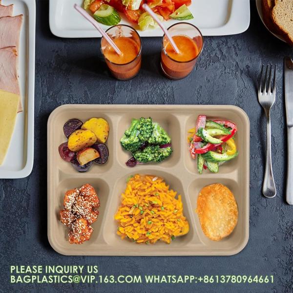 5 Compartment Snack Food Tray Sugarcane Bagasse Plate Disposable Plates Eco-Friendly White Natural Bagasse Plates
